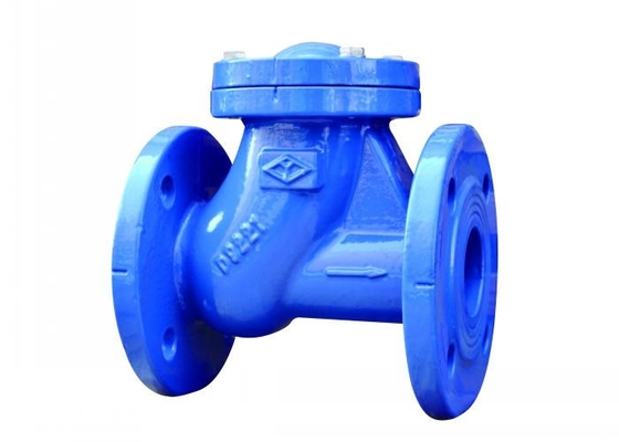 10/16 Mpa Flange End Ball Type Check Valve Anti Oxidation Cast Iron