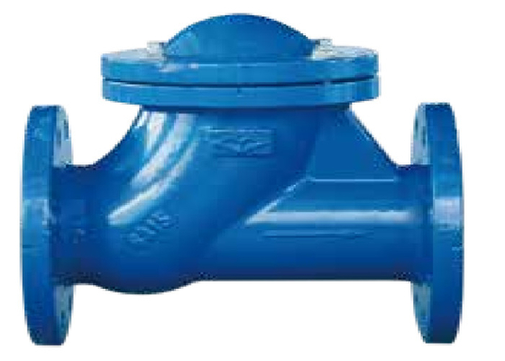 10/16 Mpa Flange End Ball Type Check Valve Anti Oxidation Cast Iron